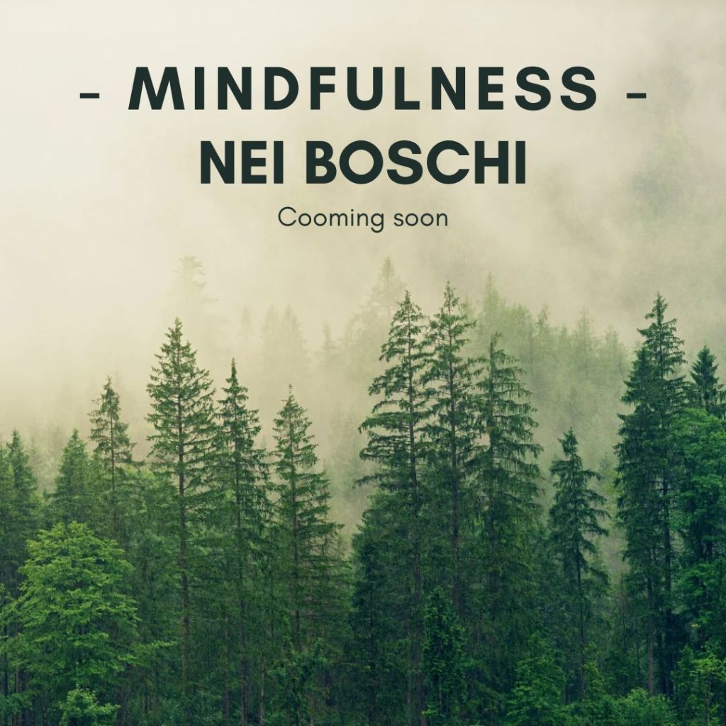 Foto mindfulness nei boschi
